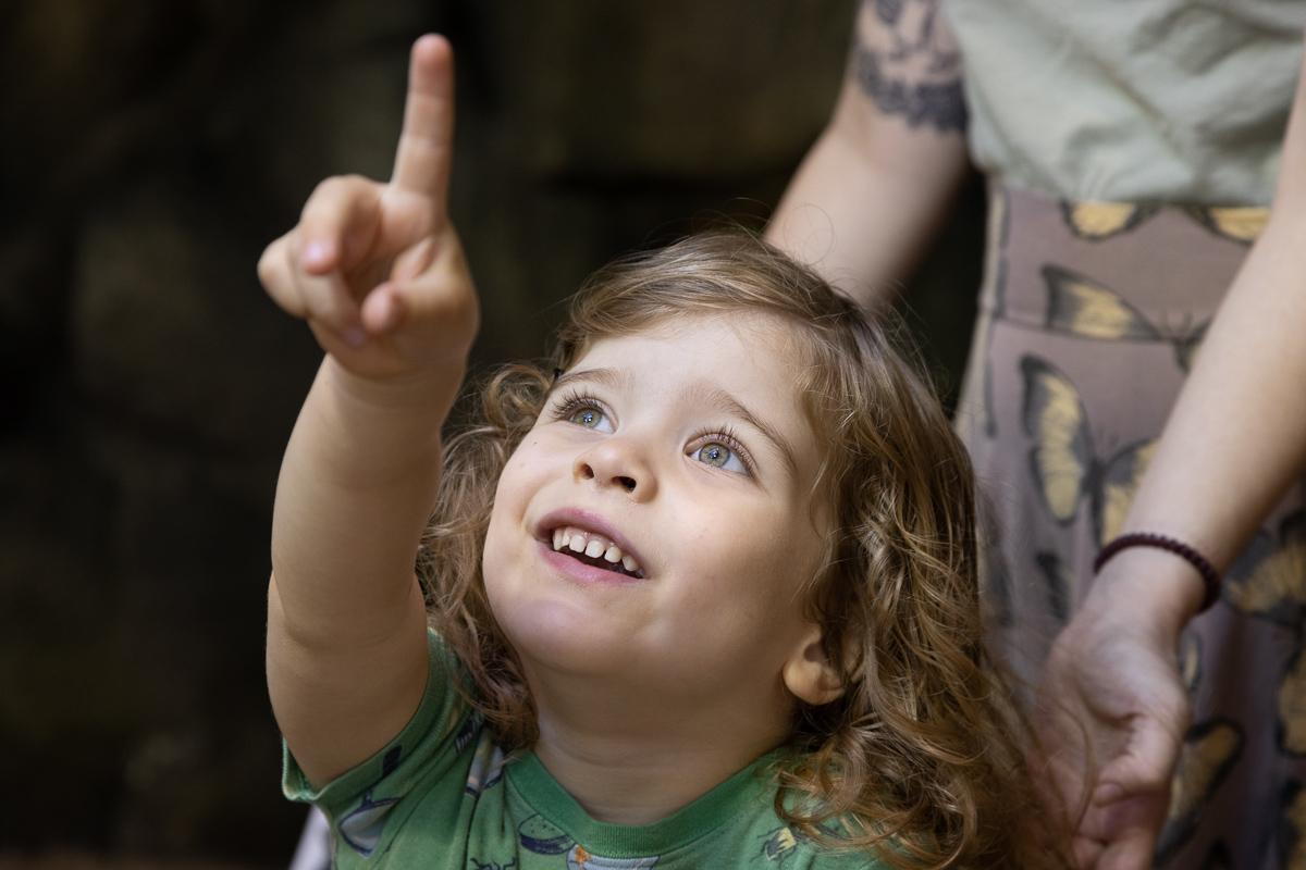 Young visitor pointing at a butterfly.